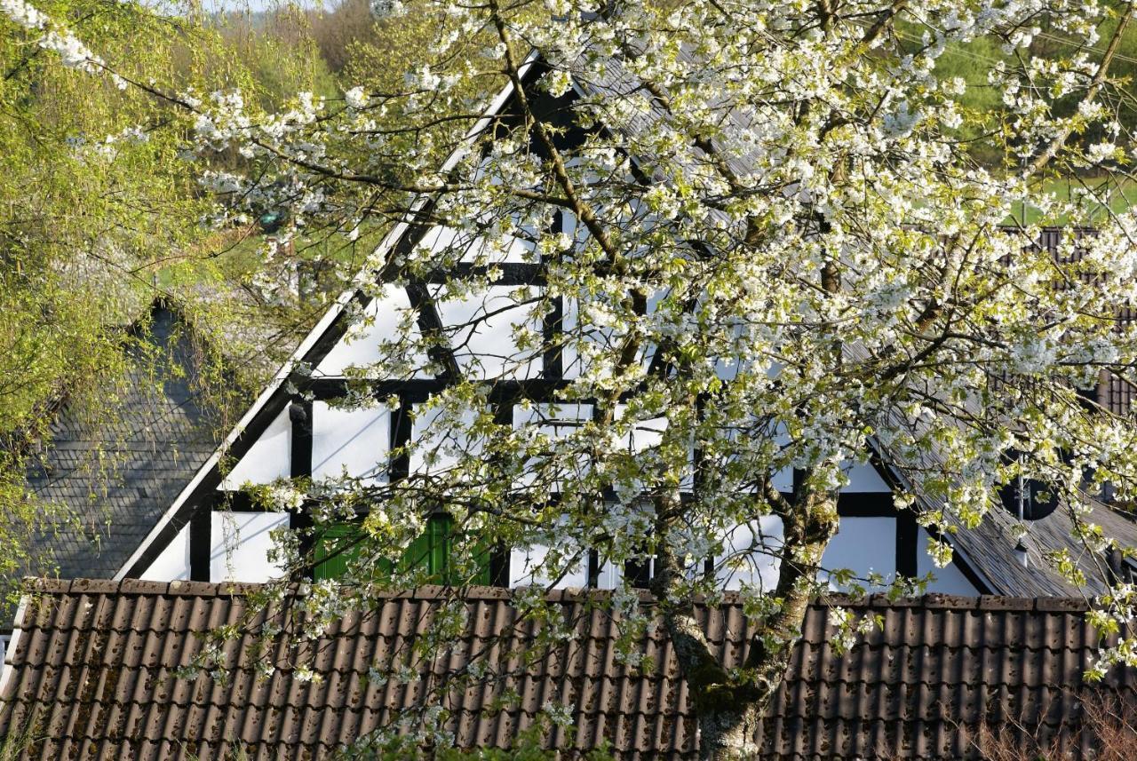 Gasthof Schumacher Hotel Garni Фройденберг Экстерьер фото
